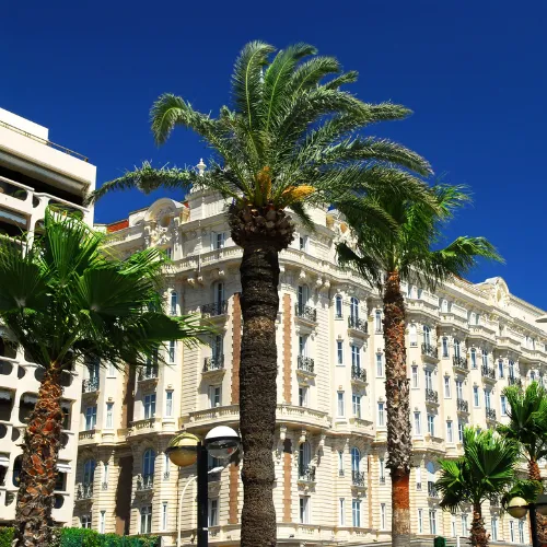 tourisme et visite chauffeur vtc rue de cannes